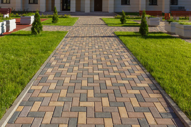 Best Driveway Paving Contractor  in Burton, SC